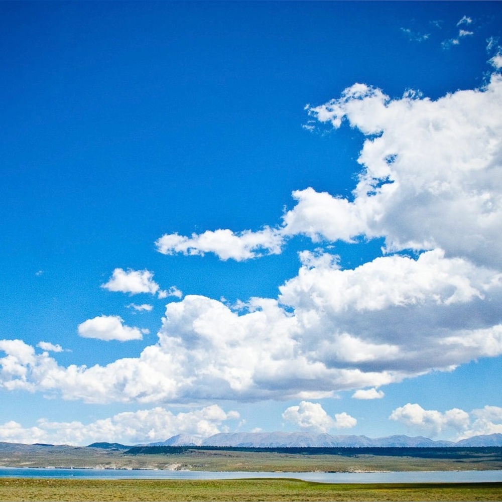 Meet your Posher, Ty